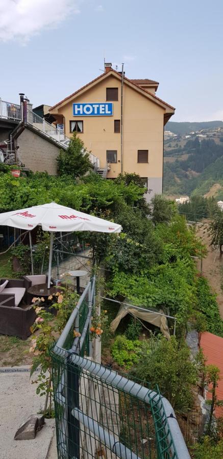 Hotel Alina Cangas De Narcea Exterior photo