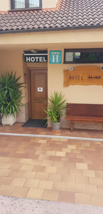 Hotel Alina Cangas De Narcea Exterior photo