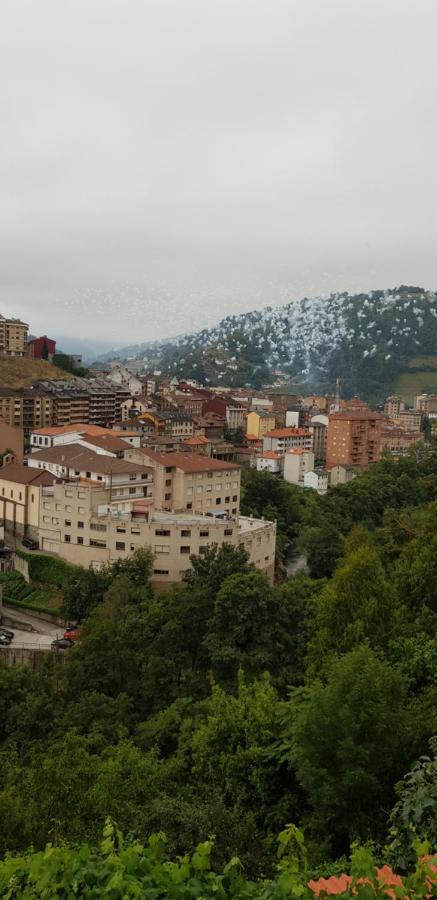 Hotel Alina Cangas De Narcea Exterior photo